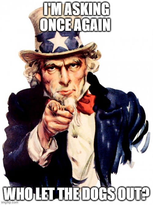 Uncle Sam Meme | I'M ASKING ONCE AGAIN; WHO LET THE DOGS OUT? | image tagged in memes,uncle sam | made w/ Imgflip meme maker
