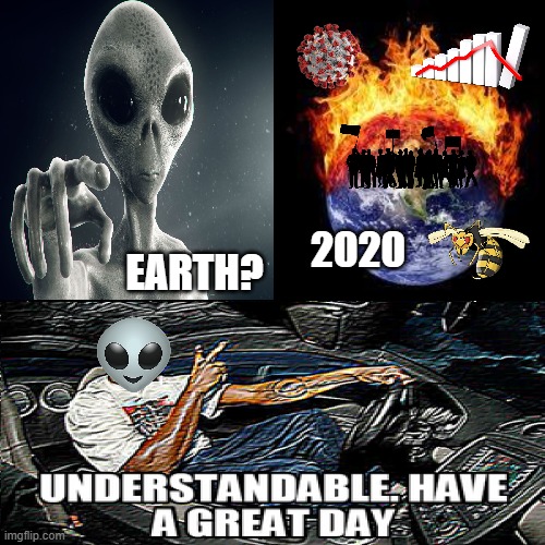 2020 Broke | 2020; EARTH? | image tagged in understandable have a great day,2020 sucks,coronavirus,protest,fire,murder hornet | made w/ Imgflip meme maker
