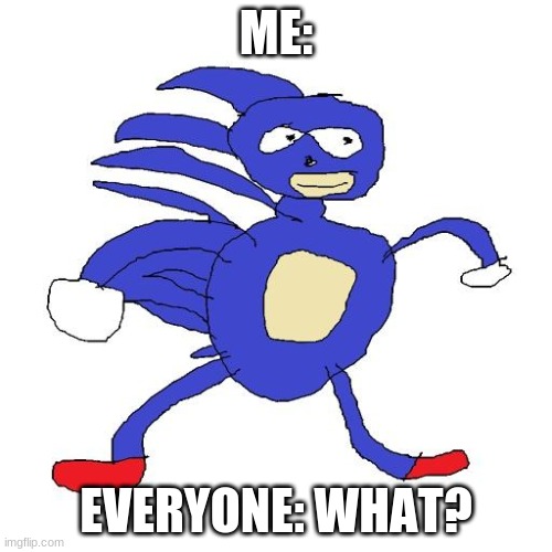Sanic | ME:; EVERYONE: WHAT? | image tagged in sanic | made w/ Imgflip meme maker
