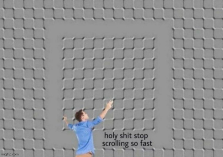 you scroll way too fast | image tagged in optical illusion | made w/ Imgflip meme maker