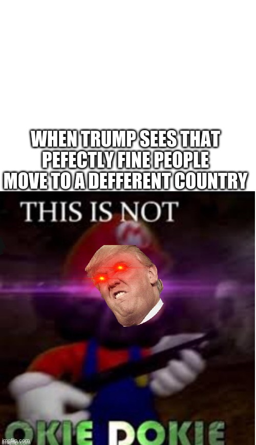 Tramp | WHEN TRUMP SEES THAT PEFECTLY FINE PEOPLE MOVE TO A DEFFERENT COUNTRY | image tagged in mario not okie dokie | made w/ Imgflip meme maker