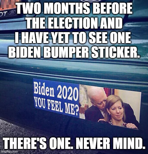 This has to be the saddest election campaign in history. | TWO MONTHS BEFORE THE ELECTION AND I HAVE YET TO SEE ONE 
BIDEN BUMPER STICKER. THERE'S ONE. NEVER MIND. | image tagged in joe biden,bumper sticker,memes | made w/ Imgflip meme maker