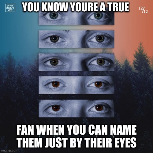 YOU KNOW YOURE A TRUE; FAN WHEN YOU CAN NAME THEM JUST BY THEIR EYES | image tagged in why don't we,zach herron,jack avery,daniel seavey,jonah marais,corbyn besson | made w/ Imgflip meme maker