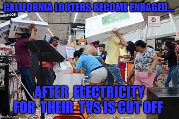 Looters | CALIFORNIA LOOTERS BECOME ENRAGED... AFTER  ELECTRICITY FOR  THEIR  TVS IS CUT OFF | image tagged in looters | made w/ Imgflip meme maker