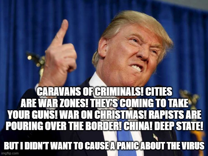 CARAVANS OF CRIMINALS! CITIES ARE WAR ZONES! THEY'S COMING TO TAKE YOUR GUNS! WAR ON CHRISTMAS! RAPISTS ARE POURING OVER THE BORDER! CHINA! DEEP STATE! BUT I DIDN'T WANT TO CAUSE A PANIC ABOUT THE VIRUS | image tagged in trump,virus | made w/ Imgflip meme maker