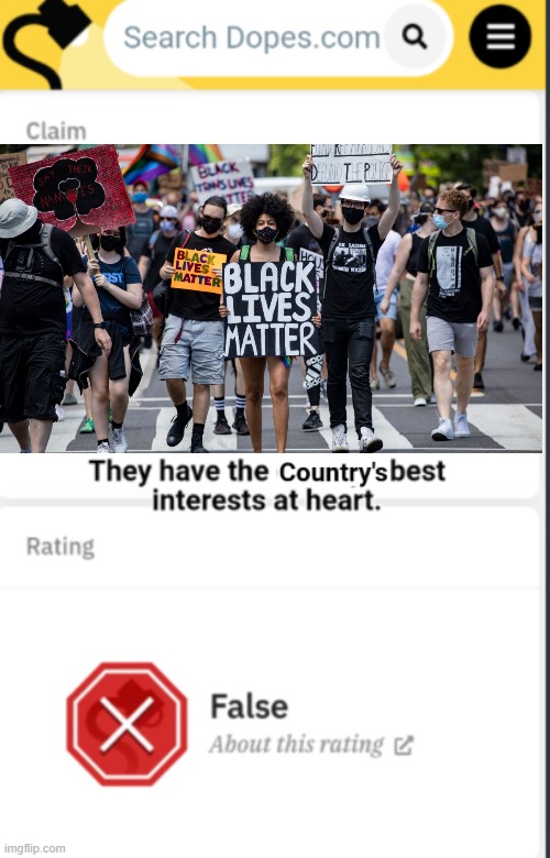 Black Lives matter loves America | image tagged in black lives matter | made w/ Imgflip meme maker