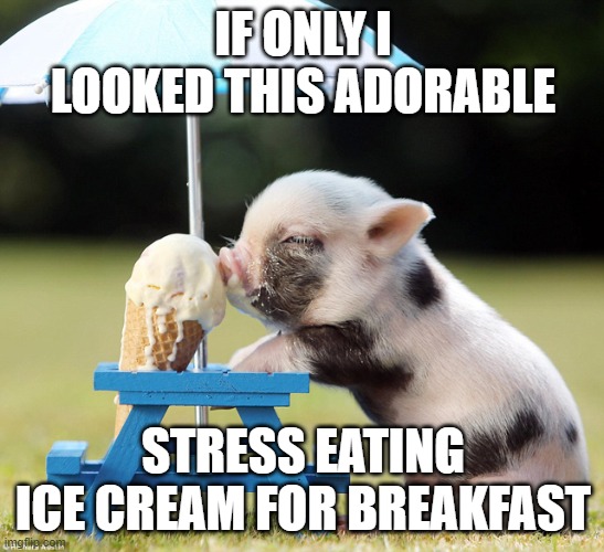 Piggy Likes Ice Cream | IF ONLY I LOOKED THIS ADORABLE; STRESS EATING ICE CREAM FOR BREAKFAST | image tagged in pig ice cream | made w/ Imgflip meme maker