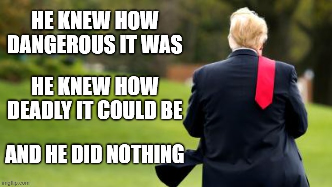 HE KNEW HOW DANGEROUS IT WAS; HE KNEW HOW DEADLY IT COULD BE; AND HE DID NOTHING | image tagged in trump,virus | made w/ Imgflip meme maker