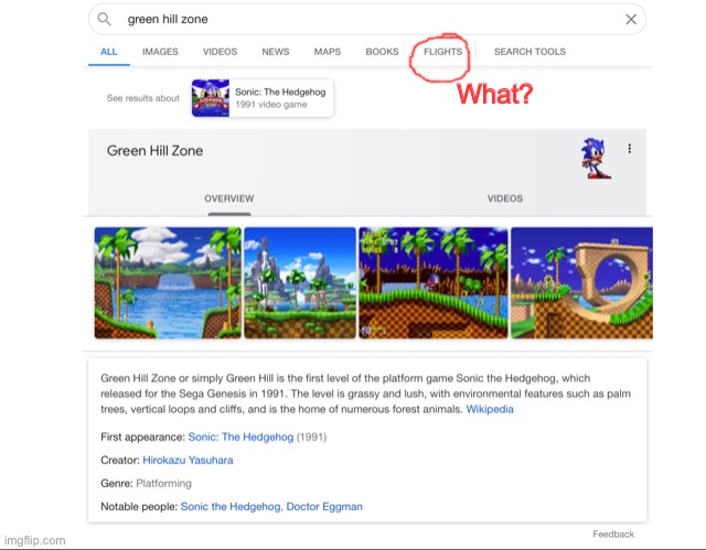 What? | image tagged in sonic the hedgehog,wtf,weird stuff | made w/ Imgflip meme maker