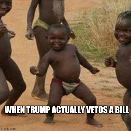 Third World Success Kid Meme | WHEN TRUMP ACTUALLY VETOS A BILL | image tagged in memes,third world success kid | made w/ Imgflip meme maker