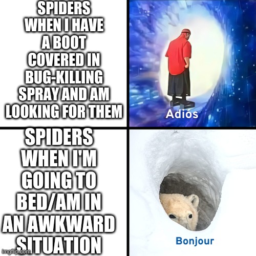 Speders | SPIDERS WHEN I HAVE A BOOT COVERED IN BUG-KILLING SPRAY AND AM LOOKING FOR THEM; SPIDERS WHEN I'M GOING TO BED/AM IN AN AWKWARD SITUATION | image tagged in adios bonjour | made w/ Imgflip meme maker