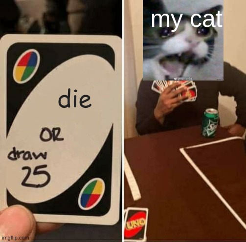 life | my cat; die | image tagged in memes,uno draw 25 cards | made w/ Imgflip meme maker