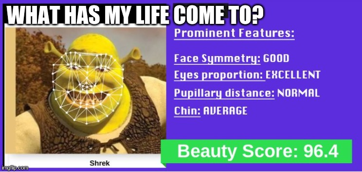 beauty test |  WHAT HAS MY LIFE COME TO? | image tagged in shrek,smiling shrek | made w/ Imgflip meme maker