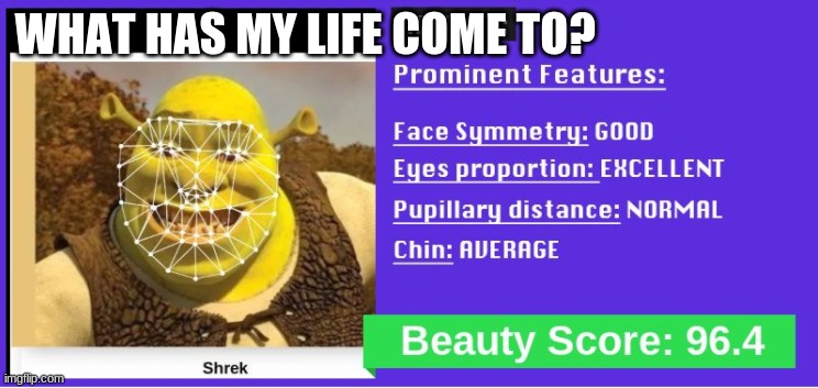 beauty test | WHAT HAS MY LIFE COME TO? | image tagged in shrek,smiling shrek | made w/ Imgflip meme maker