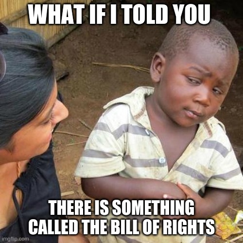 Third World Skeptical Kid | WHAT IF I TOLD YOU; THERE IS SOMETHING CALLED THE BILL OF RIGHTS | image tagged in memes,third world skeptical kid | made w/ Imgflip meme maker
