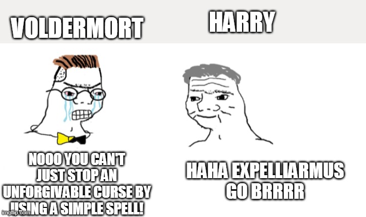 nooo haha go brrr | HARRY; VOLDERMORT; NOOO YOU CAN'T JUST STOP AN UNFORGIVABLE CURSE BY USING A SIMPLE SPELL! HAHA EXPELLIARMUS GO BRRRR | image tagged in nooo haha go brrr | made w/ Imgflip meme maker