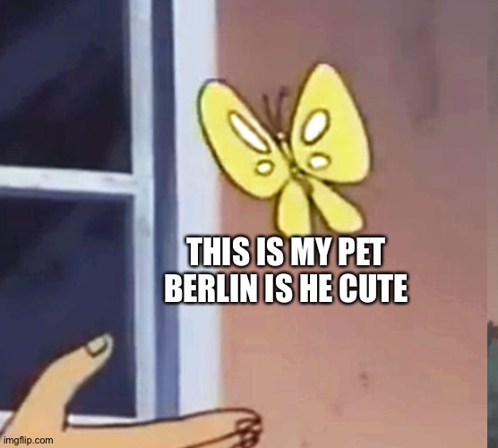 woops wrong stream | THIS IS MY PET BERLIN IS HE CUTE | image tagged in is this a pigeon,my cat is not dead but my dog is,cats | made w/ Imgflip meme maker