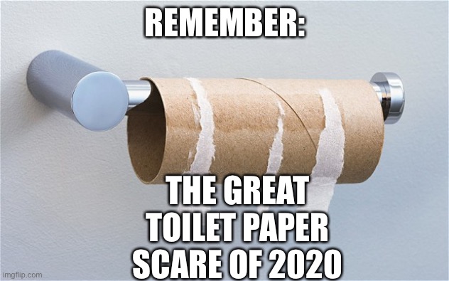 Remember the Great Toilet Paper Scare | REMEMBER:; THE GREAT TOILET PAPER SCARE OF 2020 | image tagged in empty toilet paper roll,toilet paper,2020 | made w/ Imgflip meme maker