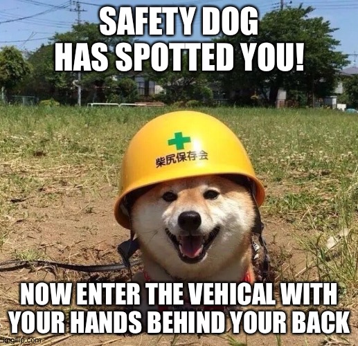 hes got you now | SAFETY DOG HAS SPOTTED YOU! NOW ENTER THE VEHICAL WITH YOUR HANDS BEHIND YOUR BACK | image tagged in safety doggo | made w/ Imgflip meme maker