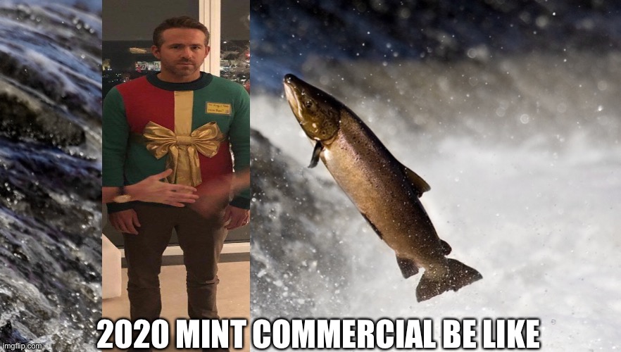 Salmon | 2020 MINT COMMERCIAL BE LIKE | image tagged in salmon | made w/ Imgflip meme maker