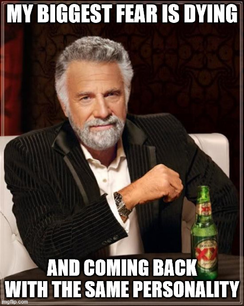 The Most Interesting Man In The World | MY BIGGEST FEAR IS DYING; AND COMING BACK WITH THE SAME PERSONALITY | image tagged in memes,the most interesting man in the world | made w/ Imgflip meme maker