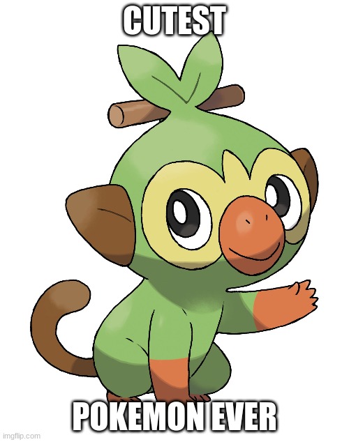 groookeyyyy | CUTEST; POKEMON EVER | image tagged in pokemon,grookey gang | made w/ Imgflip meme maker