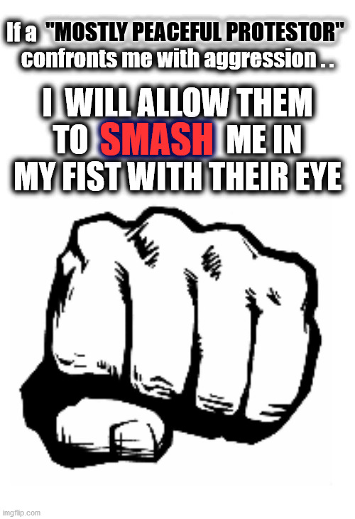 "Mostly Peaceful Protestors" are due some PUSH-BACK | "MOSTLY PEACEFUL PROTESTOR"; If a  "MOSTLY PEACEFUL PROTESTOR" 
confronts me with aggression . . I  WILL ALLOW THEM TO   SMASH   ME IN MY FIST WITH THEIR EYE; SMASH | image tagged in fist,mostly peaceful,protesters,smash,push-back | made w/ Imgflip meme maker