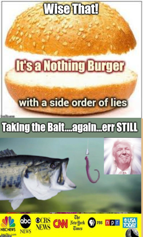Woodward's Nothing Burger...."Taking the Bait, once again! | Wise That! | image tagged in self proclaim,selfie,i do declare,agender journalism,biden | made w/ Imgflip meme maker