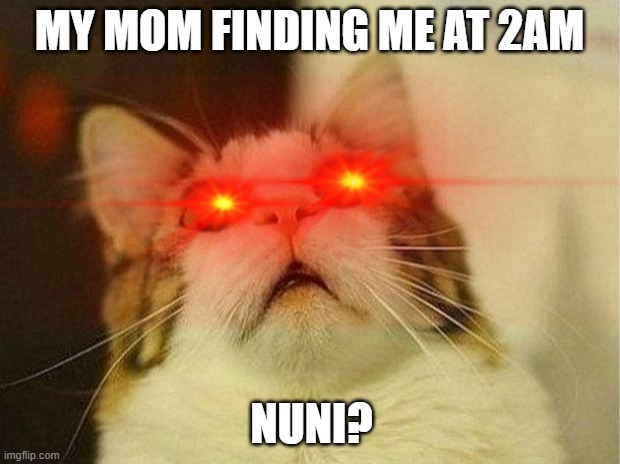 MY MOM FINDING ME AT 2AM; NUNI? | image tagged in no rly | made w/ Imgflip meme maker