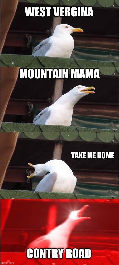 Inhaling Seagull | WEST VERGINA; MOUNTAIN MAMA; TAKE ME HOME; CONTRY ROAD | image tagged in memes,inhaling seagull | made w/ Imgflip meme maker