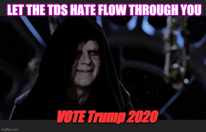 LET THE TDS HATE FLOW THROUGH YOU VOTE Trump 2020 | made w/ Imgflip meme maker