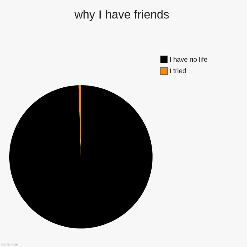 why I have friends | I tried, I have no life | image tagged in charts,pie charts | made w/ Imgflip chart maker