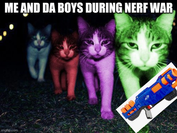 me and DA boys | ME AND DA BOYS DURING NERF WAR | image tagged in wrong neighborhood raycats,nerf,war | made w/ Imgflip meme maker
