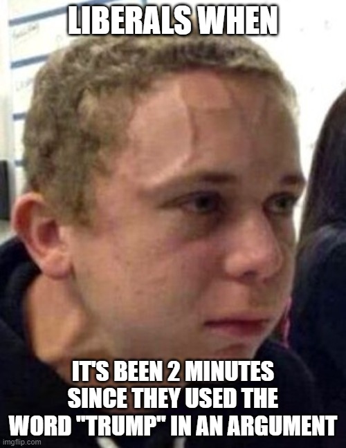 Trump bad police bad grrr | LIBERALS WHEN; IT'S BEEN 2 MINUTES SINCE THEY USED THE WORD "TRUMP" IN AN ARGUMENT | image tagged in vein neck,left wing,trump,liberals | made w/ Imgflip meme maker