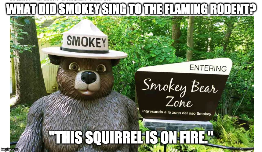 Squirrel on Fire | WHAT DID SMOKEY SING TO THE FLAMING RODENT? "THIS SQUIRREL IS ON FIRE." | image tagged in squirrel,fire,smokey bear | made w/ Imgflip meme maker
