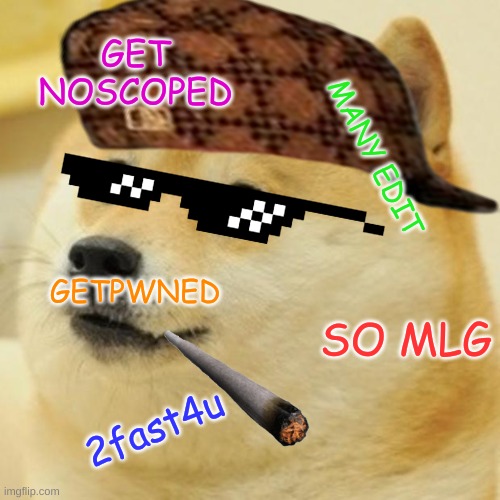 Doge | GET NOSCOPED; MANY EDIT; GETPWNED; SO MLG; 2fast4u | image tagged in memes,doge | made w/ Imgflip meme maker