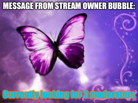 Comment if you want to be one of 3 moderators! | MESSAGE FROM STREAM OWNER BUBBLE:; Currently looking for 3 moderators | image tagged in purple butterfly | made w/ Imgflip meme maker