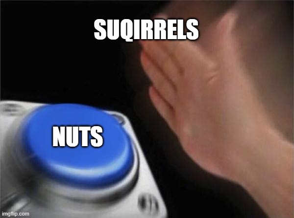 atack | SUQIRRELS; NUTS | image tagged in memes,blank nut button | made w/ Imgflip meme maker