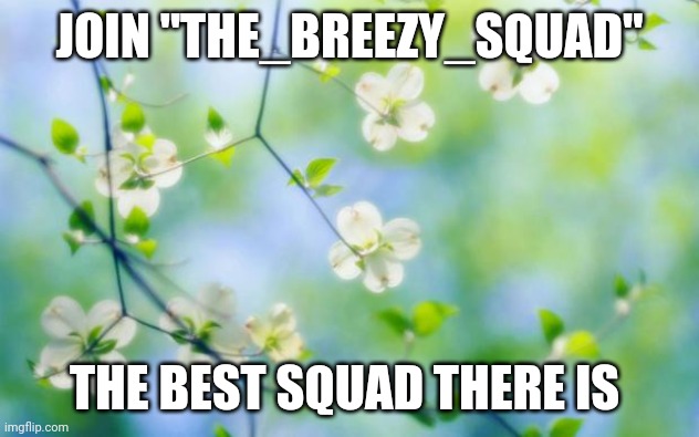 flowers | JOIN "THE_BREEZY_SQUAD"; THE BEST SQUAD THERE IS | image tagged in flowers,fun | made w/ Imgflip meme maker