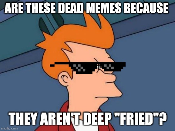 Futurama Fry Meme | ARE THESE DEAD MEMES BECAUSE; THEY AREN'T DEEP "FRIED"? | image tagged in memes,futurama fry | made w/ Imgflip meme maker