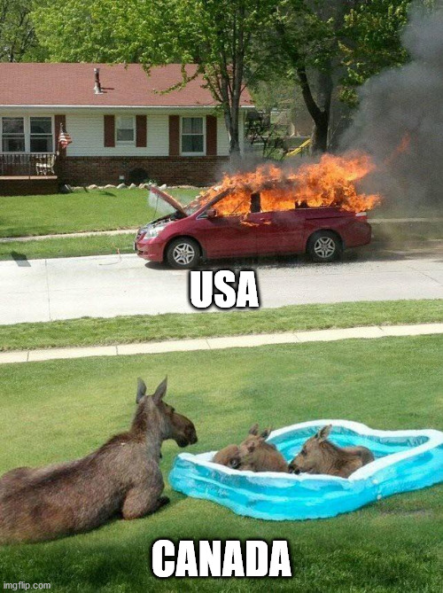 Moose watching car fire | USA; CANADA | image tagged in moose watching car fire | made w/ Imgflip meme maker