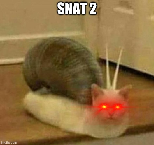 snat      2 | SNAT 2 | image tagged in cat | made w/ Imgflip meme maker