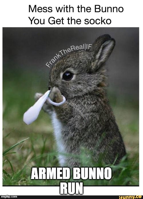 ARMED BUNNO
RUN | image tagged in gg wit bunno | made w/ Imgflip meme maker