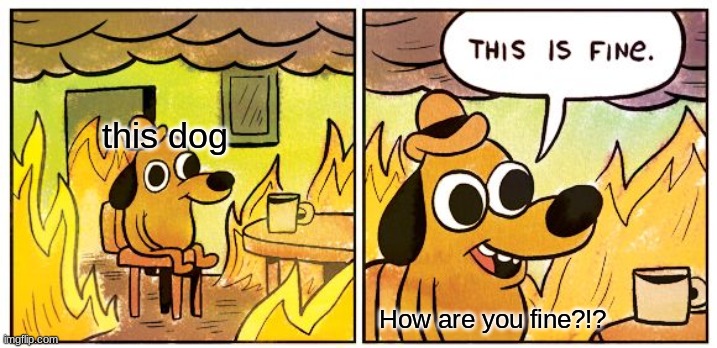 This Is Fine Meme | this dog; How are you fine?!? | image tagged in memes,this is fine | made w/ Imgflip meme maker