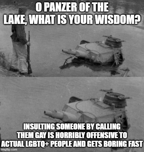 Panzer of the lake spits the truth | O PANZER OF THE LAKE, WHAT IS YOUR WISDOM? INSULTING SOMEONE BY CALLING THEM GAY IS HORRIBLY OFFENSIVE TO ACTUAL LGBTQ+ PEOPLE AND GETS BORING FAST | image tagged in panzer of the lake,memes,lgbtq,funny memes | made w/ Imgflip meme maker