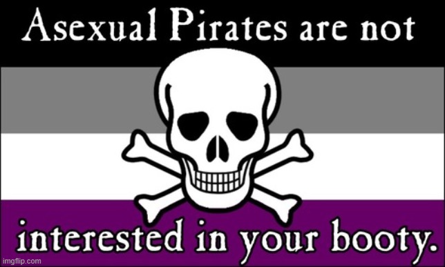 image tagged in pirates,pirate,lgbtq,asexual,ace | made w/ Imgflip meme maker