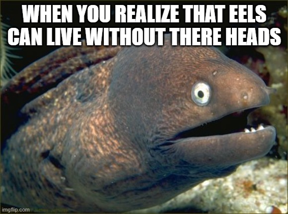 Bad Joke Eel Meme | WHEN YOU REALIZE THAT EELS CAN LIVE WITHOUT THERE HEADS | image tagged in memes,bad joke eel | made w/ Imgflip meme maker