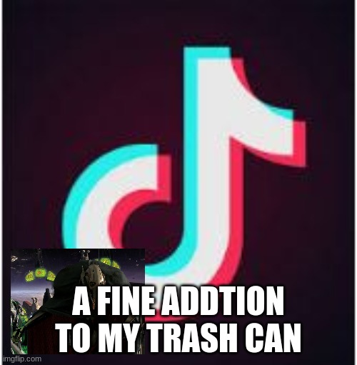 Tik Tok | A FINE ADDTION TO MY TRASH CAN | image tagged in tik tok,this will make a fine addition to my collection,dank memes,craziness_all_the_way | made w/ Imgflip meme maker