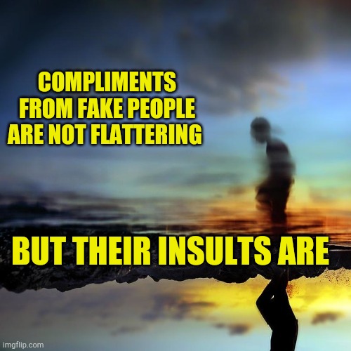 Fake People | COMPLIMENTS FROM FAKE PEOPLE ARE NOT FLATTERING; BUT THEIR INSULTS ARE | image tagged in fake people,liars,cheats,plastic surgery,task failed successfully | made w/ Imgflip meme maker