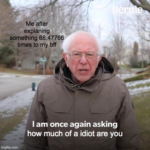 Bernie I Am Once Again Asking For Your Support Meme | Me after explaning something 68.47766 times to my bff; how much of a idiot are you | image tagged in memes,bernie i am once again asking for your support | made w/ Imgflip meme maker
